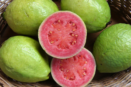 tropical fruit bali guava