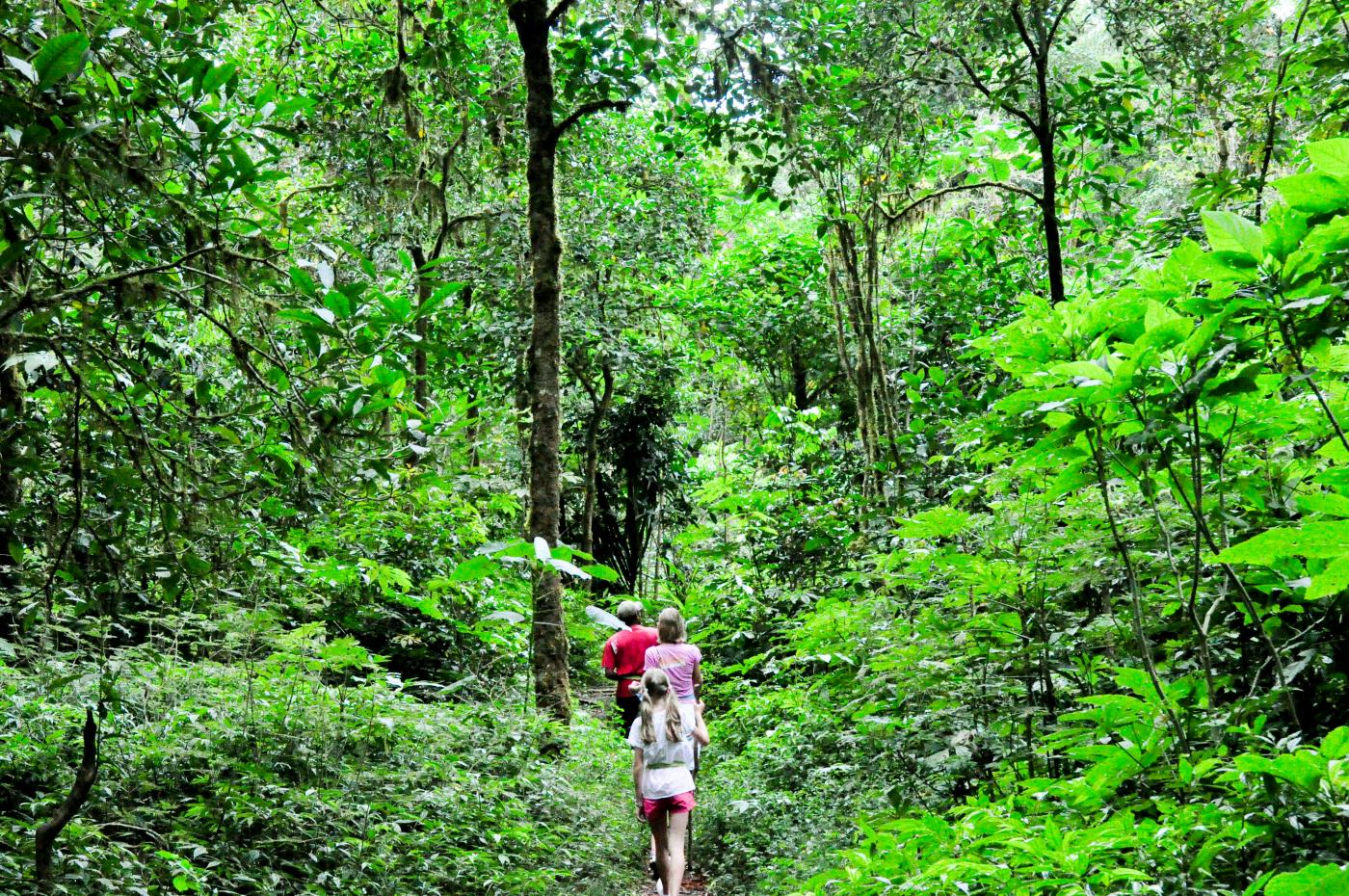 jungle trek photos